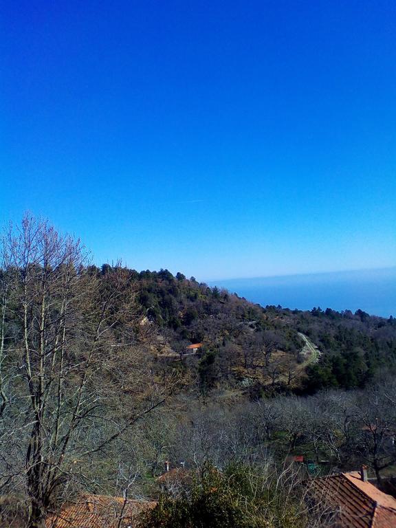 Kyveli Ξενοδοχείο Παλαιοί Πόροι Εξωτερικό φωτογραφία